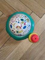 Schildkrot mit Musik und Licht (Batteriebetrieben)
