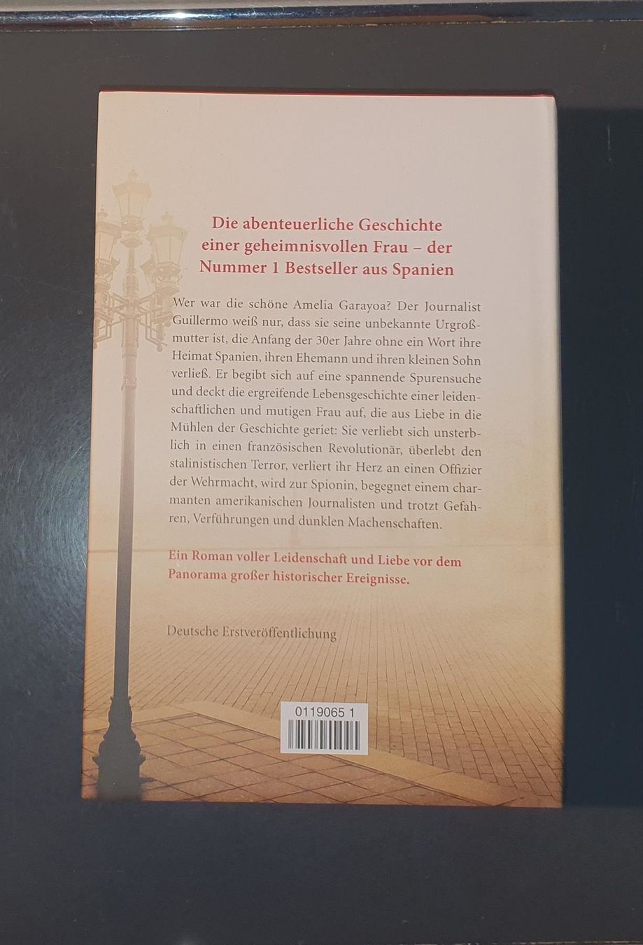 Libri: Alles, was die Zeit vergisst – Usato da Dübendorf venduto da Povo 5