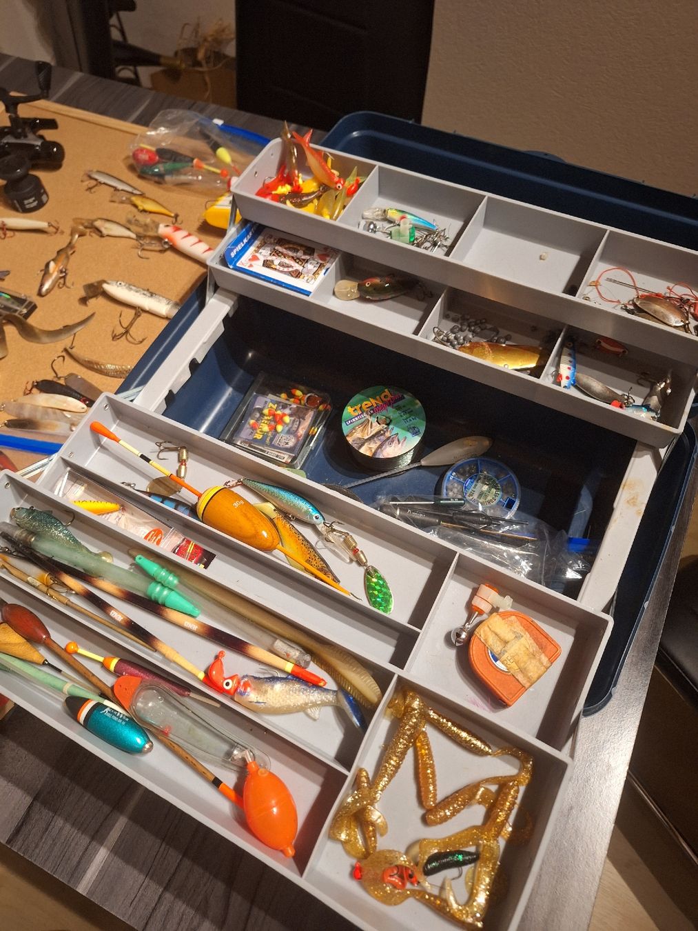 Esche: Köderbox Fischersachen  – Usato da Brienzwiler venduto da Dagemo1987 6
