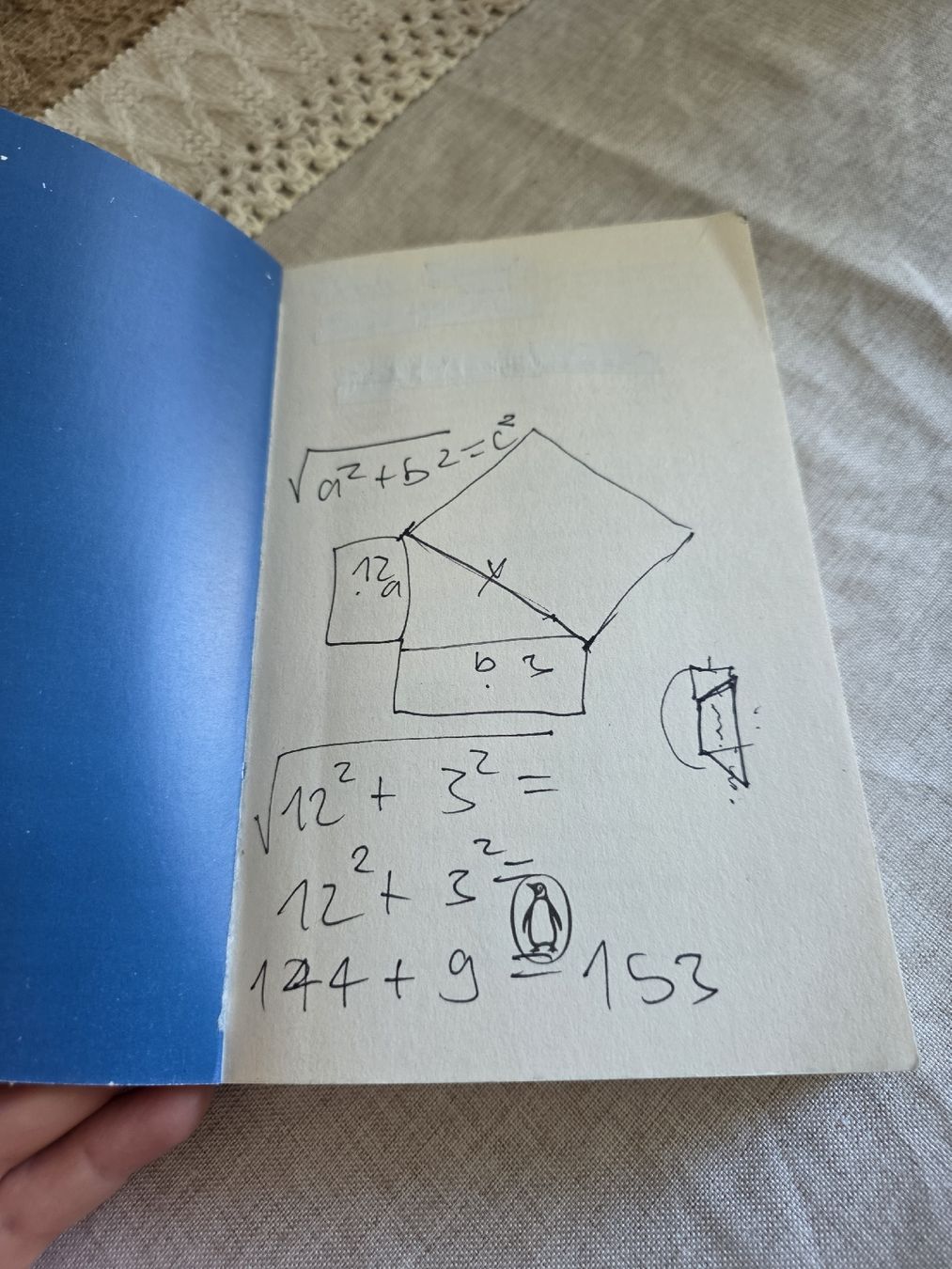 Libri: 5 – Usato da Zollikofen venduto da Tamyru77 3