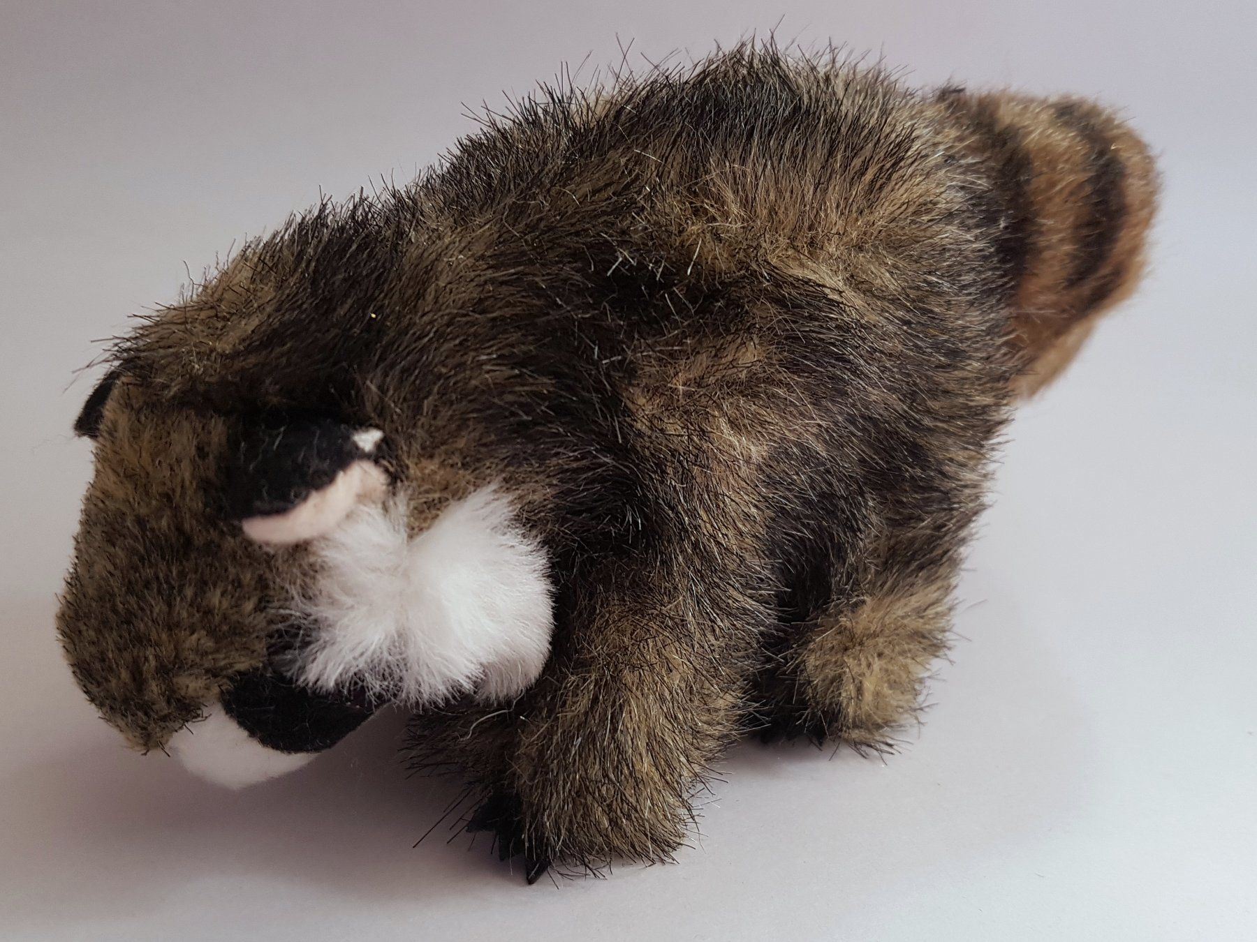 Bambole: FOLKMANIS: Fingerpuppe Waschbär  / NEU – Nuovo e nell'imballaggio originale da Dürrenäsch venduto da Didaedi