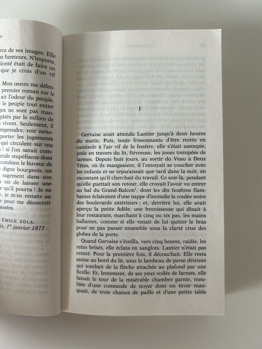 Libri: L'Assommoir, Zola – Usato da Sonceboz-Sombeval venduto da Anna_Maria09 3