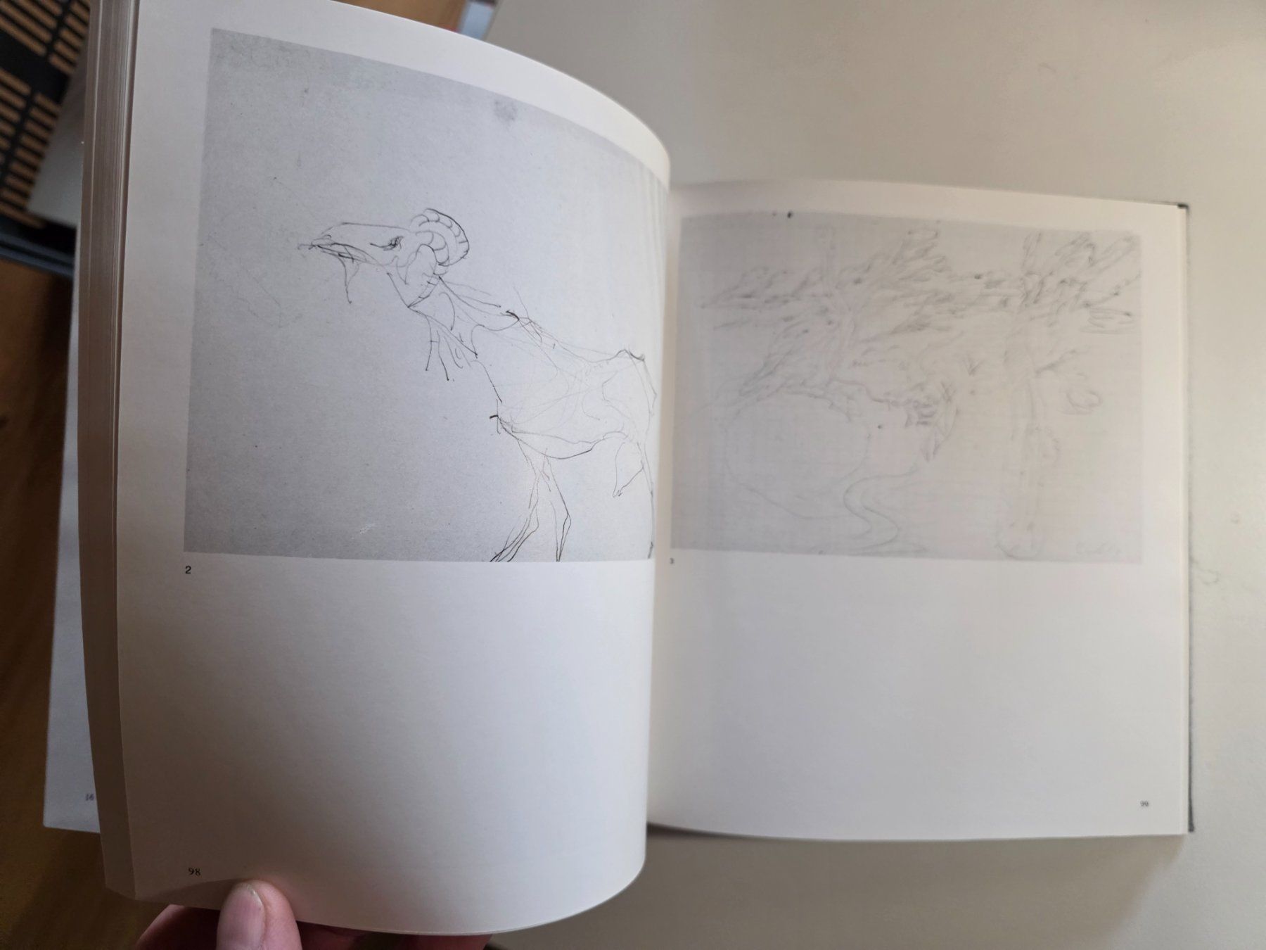 Libri: Joseph Beuys - Katalog Genk 1977 nummeriert – Usato da Walterswil BE venduto da Lonitti 8