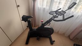 HAMMER Speed Race Indoor Cycle