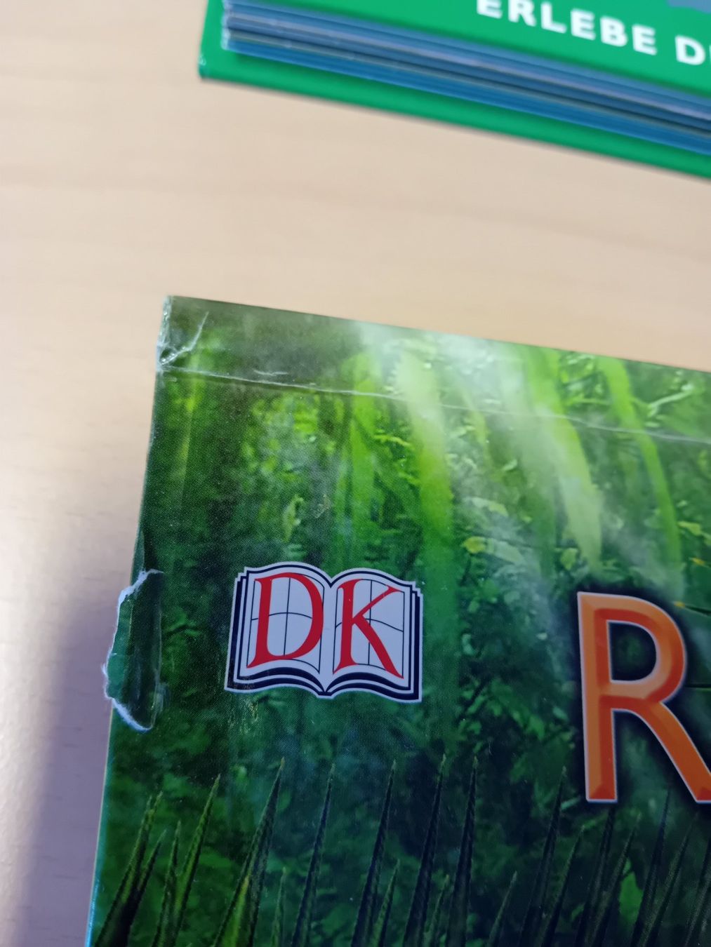 Libri: 3D Entdecker Buch "Dinosaurier" und "Regenwald" – Usato da Schindellegi venduto da nin_7njd 4
