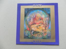 LP wohltuende Spirituelle Indische Musik der Band RASA 1979