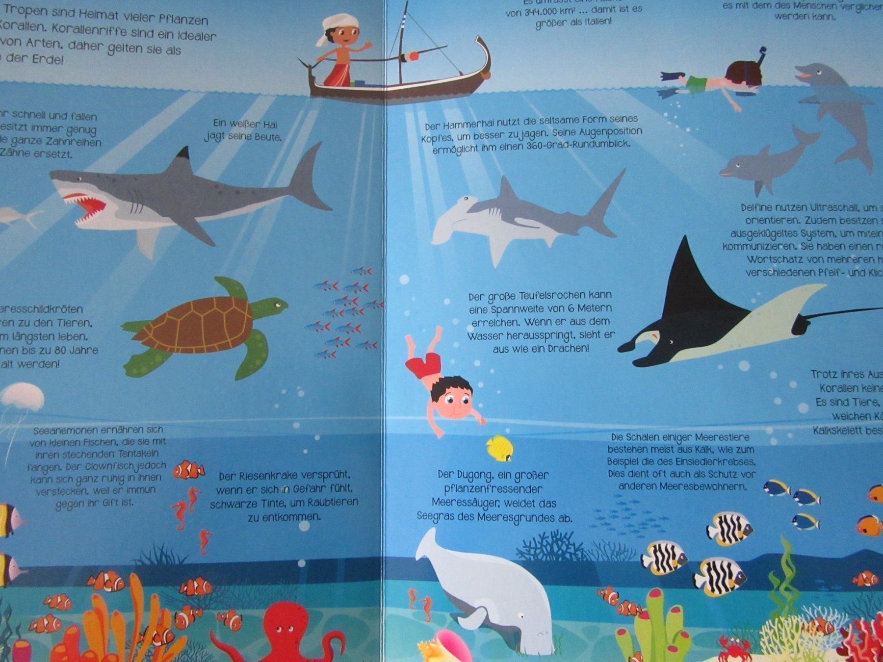 Libri: Pop - Up Buch " Das Meer " – Usato da Rüdtligen venduto da Carfield04 1