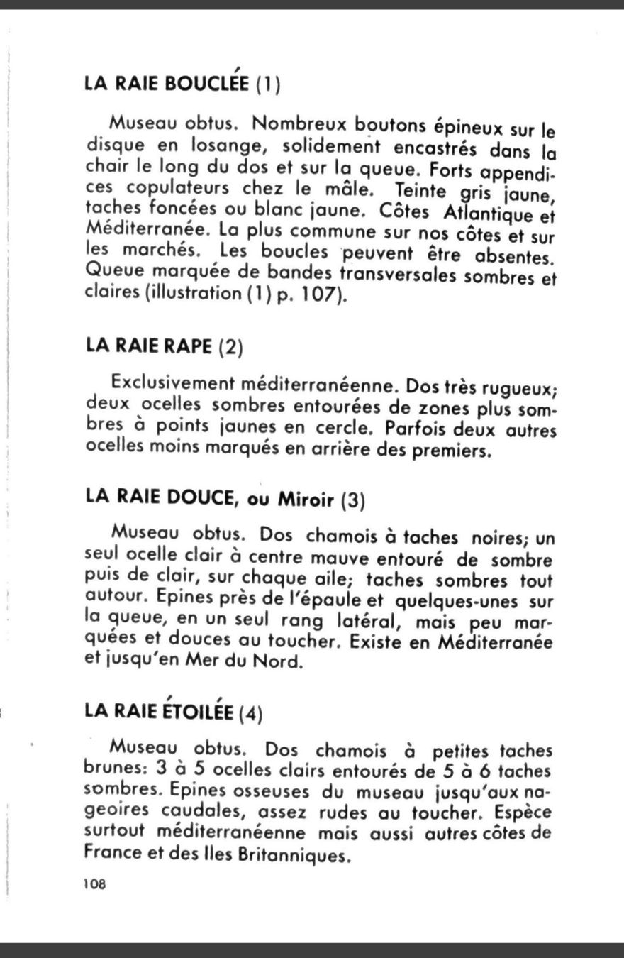 Libri: Guide Pêche en Mer Hachette 1964 160 pages illustrées – Usato da Fleurier venduto da jea_j77g 4