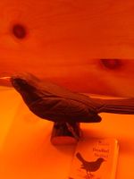 Amsel holzgeschnitzt