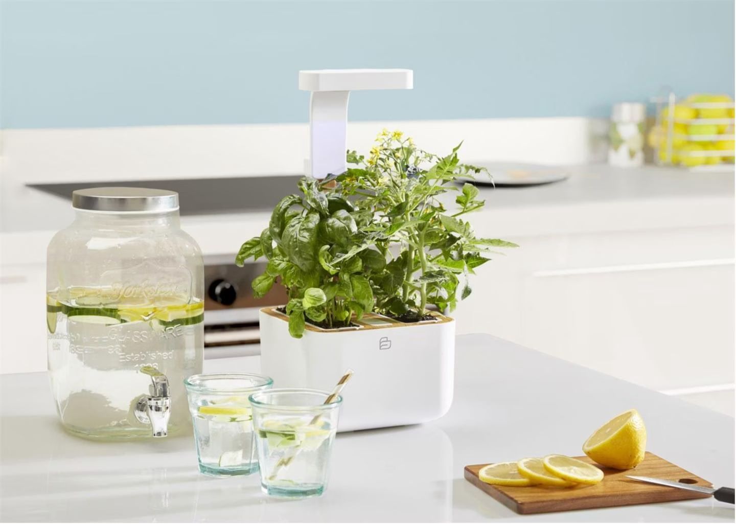 Autres: Véritable Botaneo Eylo - potager de cuisine – D'occasion à Bottens par sundea 2