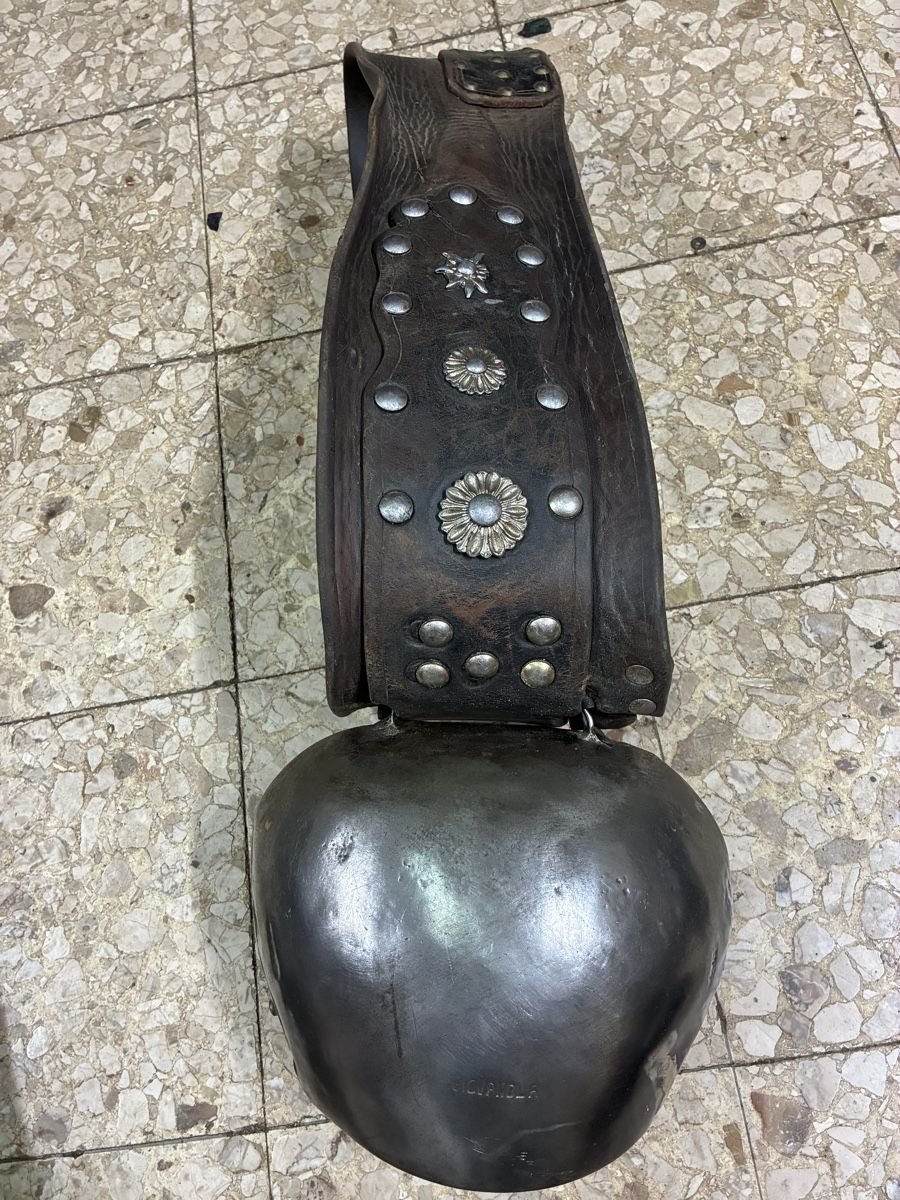 Giovanola Campanacci mucche: Giovanola Joseph 9 – Usato da Vionnaz venduto da didlud