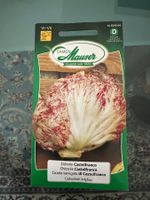 Samen Mauser - Zichorie Castelfranco