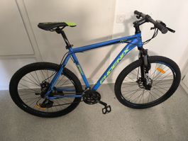 Phoenix Mountain Bike Blue 24 Speed 