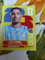 WM 2026 Sticker Charles Pickel Panini United Edition