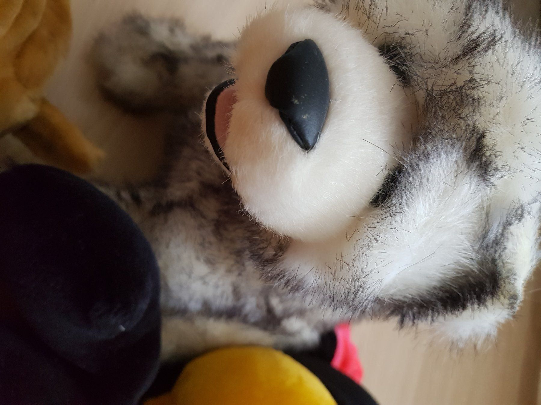 Spielzeuge: Diverse Plüschtiere – Gebraucht aus Zürich von Ivona3 1