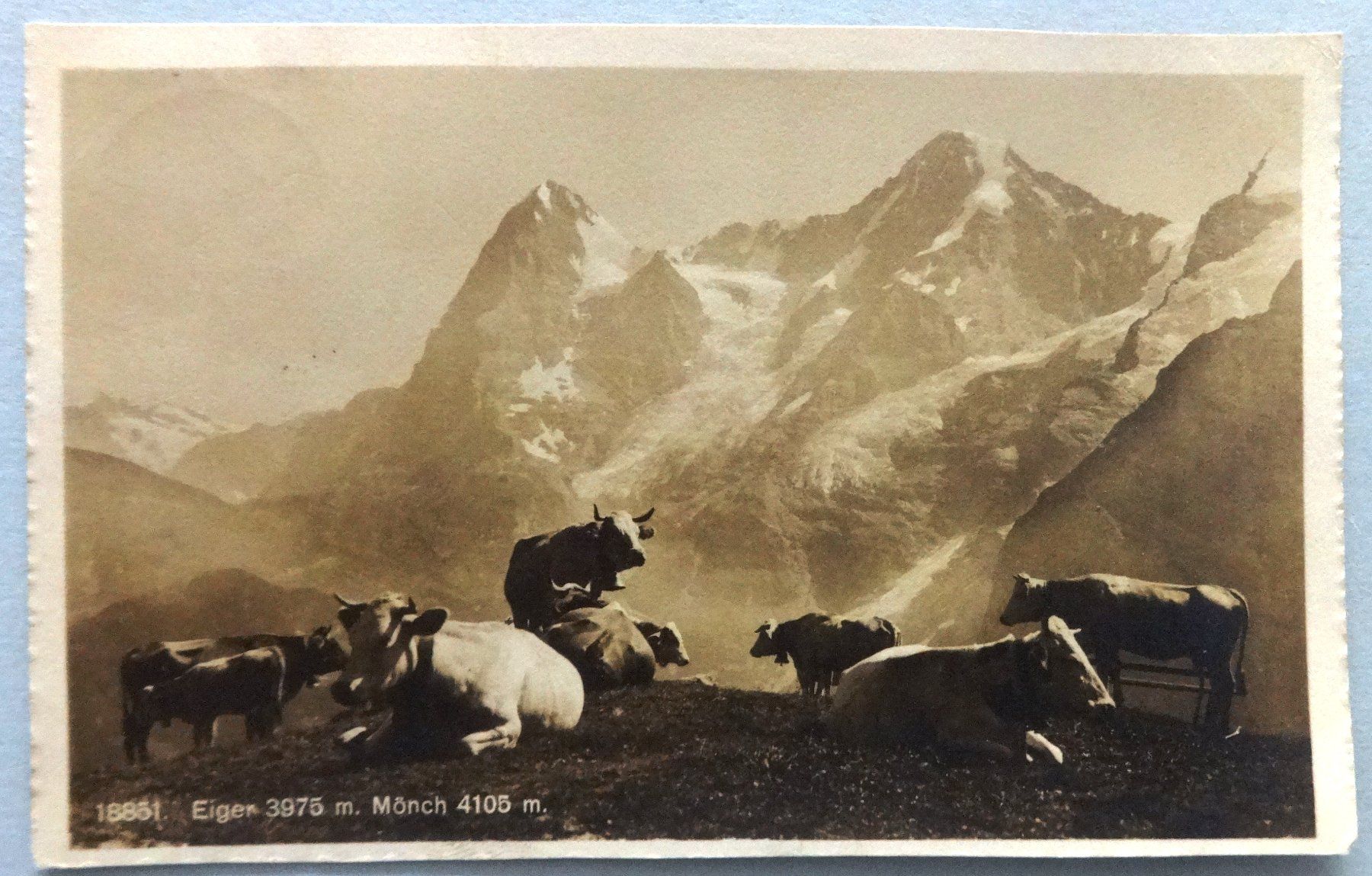 Cartoline postali: Eiger 3975 m, Mönch 4105 m – Usato da Fétigny venduto da Billy2miny