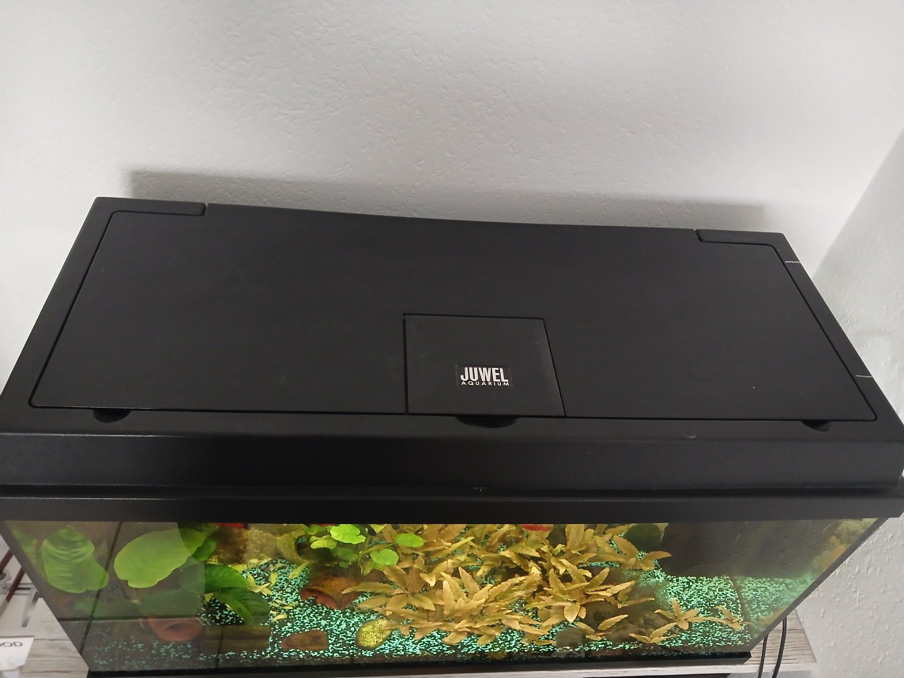 Juwel Aquarium: Aquarium 110l – Gebraucht aus Sarmenstorf von Sir_Lyncoln 2
