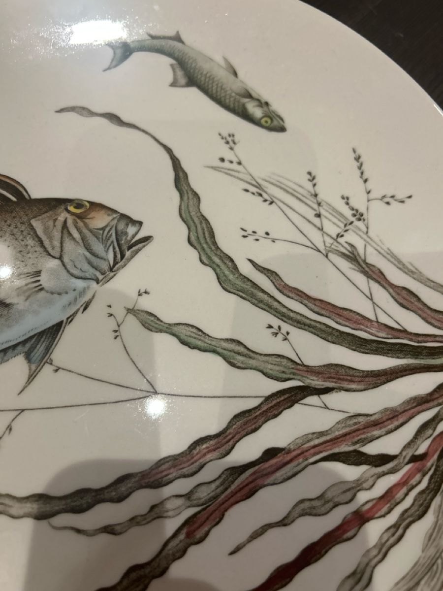 Johnson Brothers Piatti: Johnson Bros Vintage Teller Fish – Usato da Herisau venduto da Renee30 2