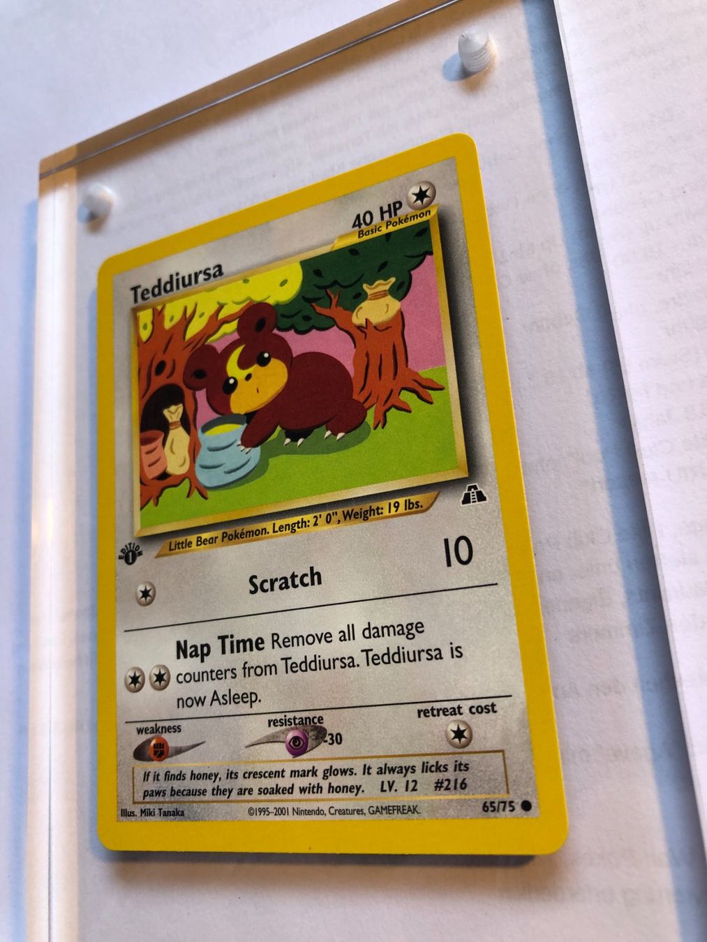 Carte collezionabili: Teddiursa 1st Neo Discovery - MINT - ab 1.- – Usato da Giubiasco venduto da dan_pr8b 2
