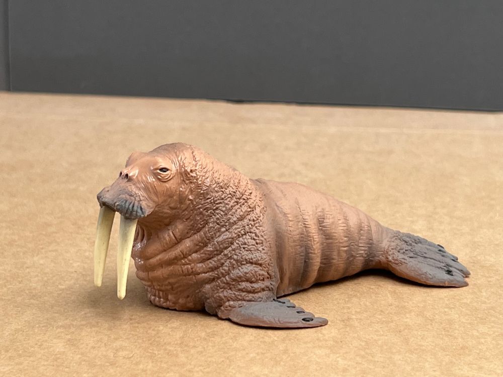 Schleich Walross hochwertige Qualität Wassertier Meerestier (Gebraucht ...