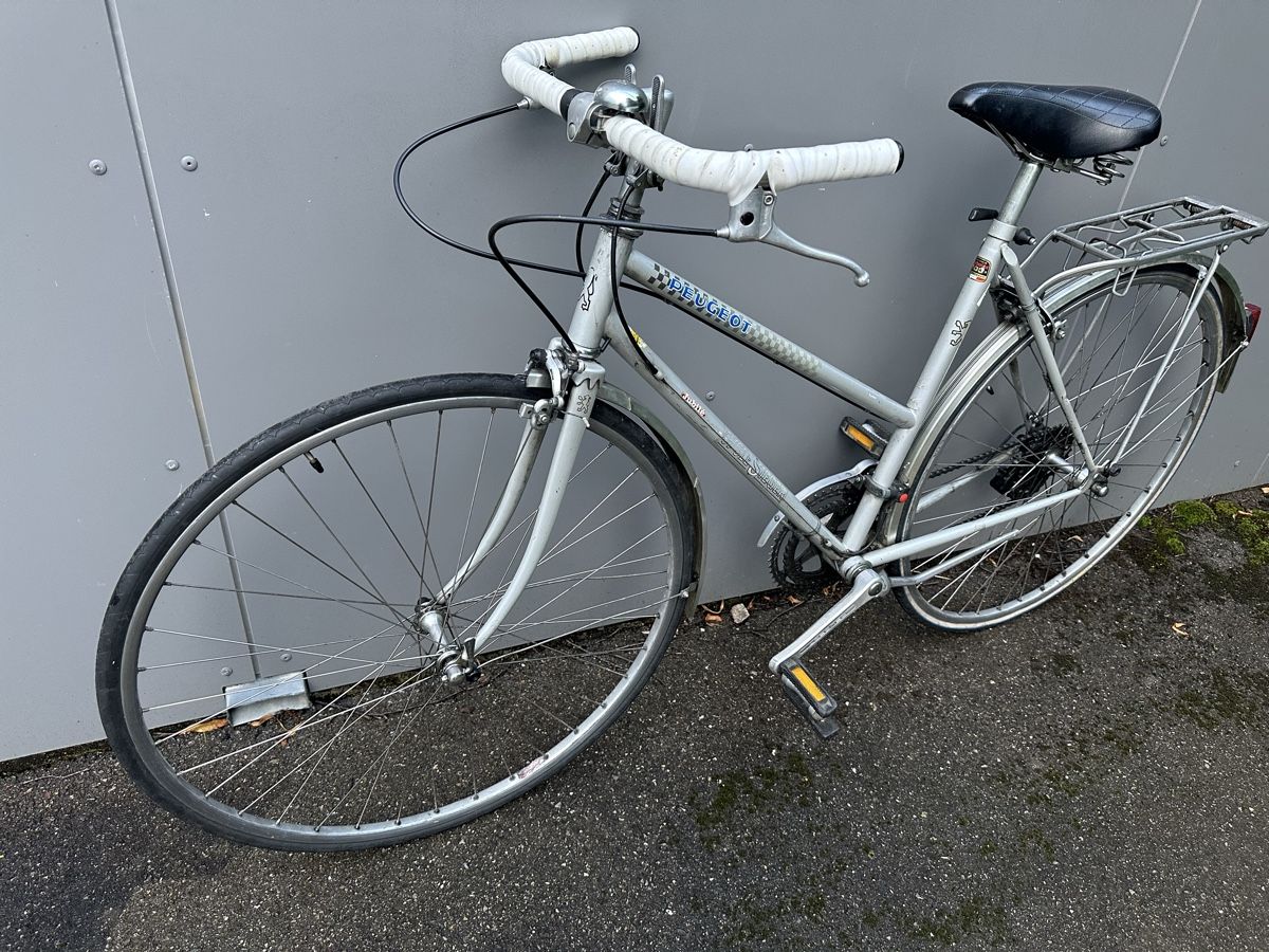 fahrrad pegasus de Swing NV Belt grau | 800WH | E-Bike Kompakt | 2026 🚲 Entdeckt euer neues Dachs cycling sunglasses LED Upgrade:STEALTH