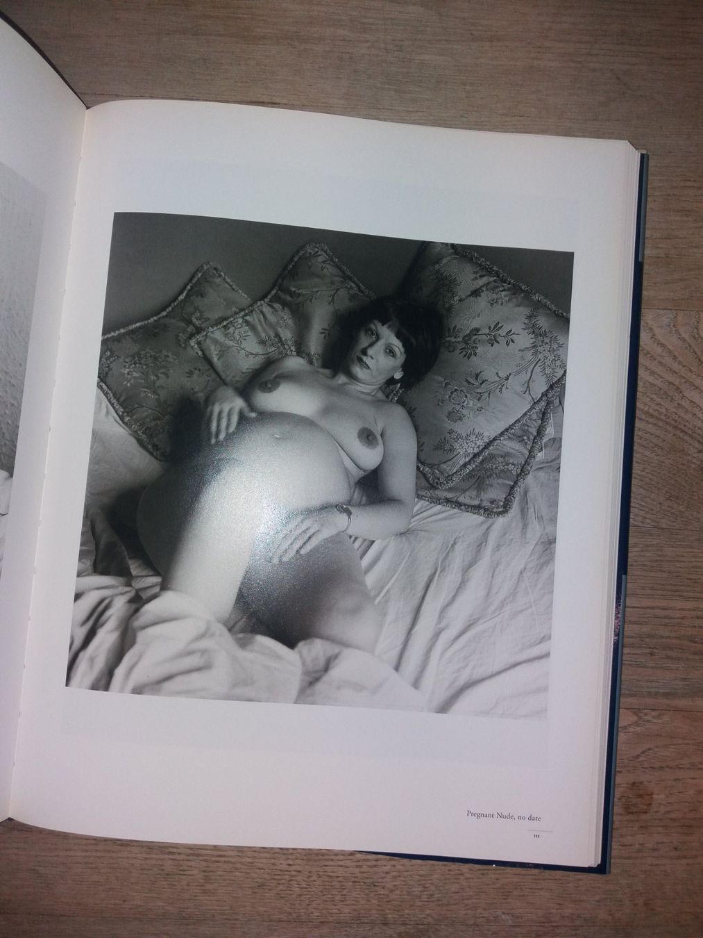 Libri: Peter Hujar Fotoklassiker RETROSPEKTIVE – Usato da Welschenrohr venduto da Regool 4