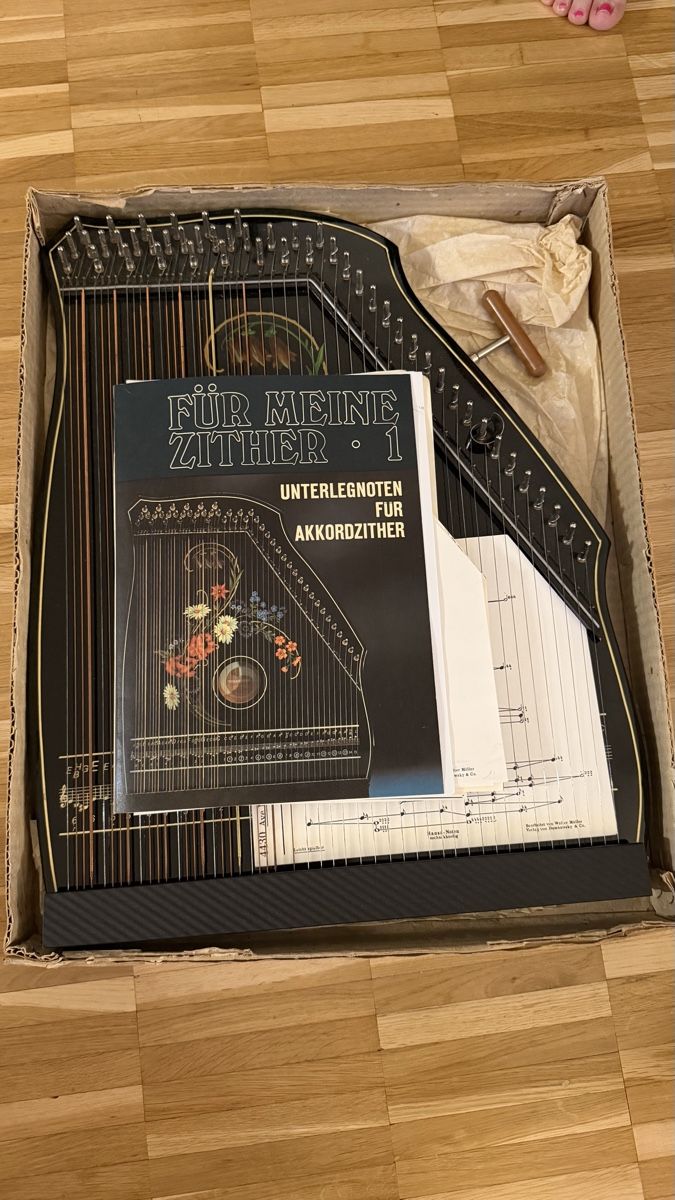 Strumenti musicali: AKKORD ZITHER – Usato da Dättwil AG venduto da kasti007 1