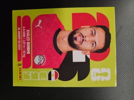 EGY 6