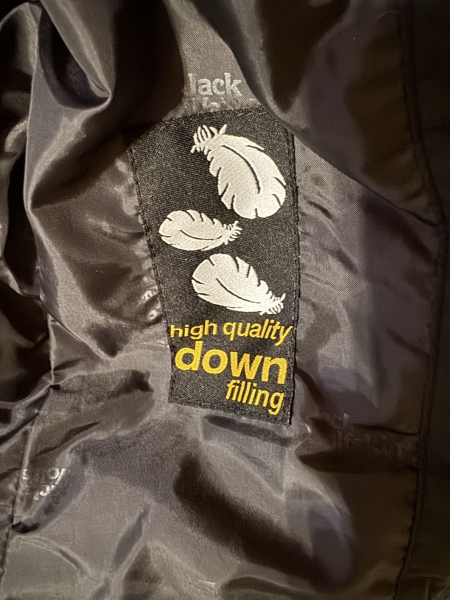 Jack Wolfskin Giacche: Jack Wolfskin Daunenjacke, Schwarz, Grösse S – Usato da Schwellbrunn venduto da Magdalena888 4
