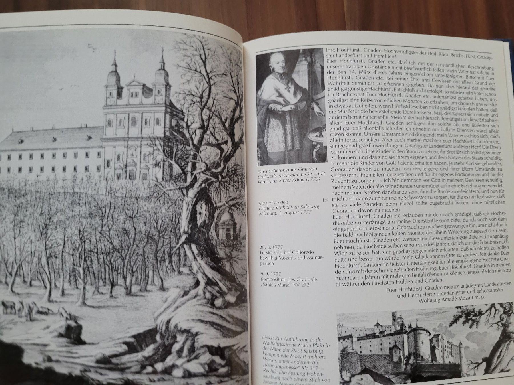 Libri: Buch über Mozart – Usato da Beinwil (Freiamt) venduto da Tourigny 3