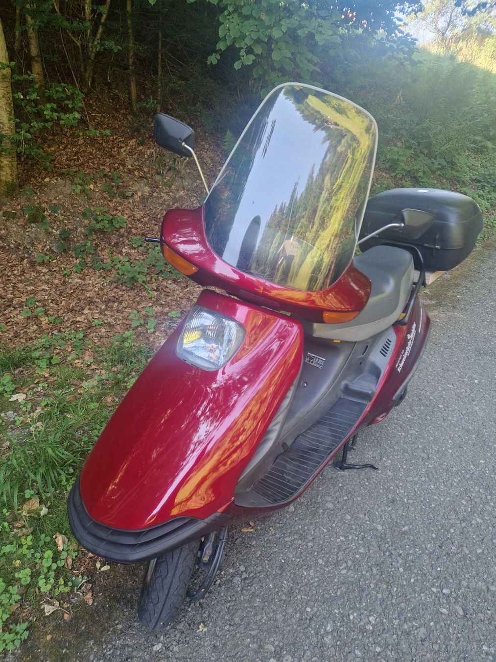 Honda Scooter: Honda Spacy 125 - Ab MFK 10.07.2026 – Usato da Fahrni b. Thun venduto da motomaeder