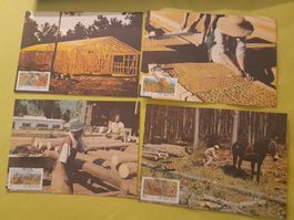 Cartes Postales Vintage - Collection Bâtiment et Forêt!
