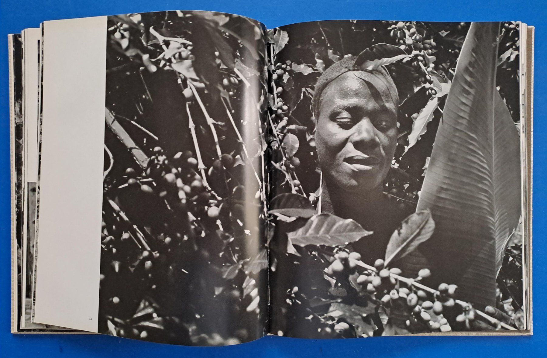 Libri: HERBERT LIST: CARIBIA. EA 1958. Ein photograph. Skizzenbuch. – Usato da Zürich venduto da archiphil 9