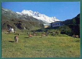 Gasthaus Tschuggen am Flüelapass, ungelaufen, Grossformat