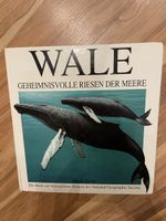 Wale - Geheimnisvolle Riesen der Meere - Pop-Up Buch!