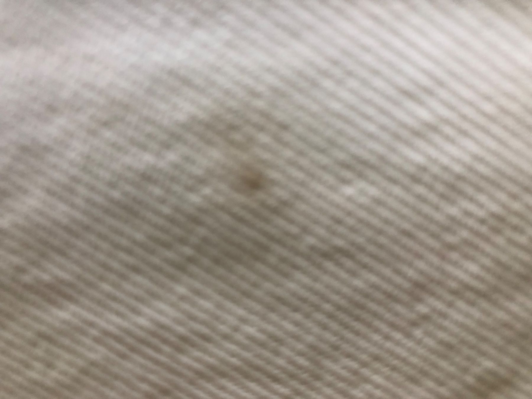Jeans: Aigner Jeans – Usato da Solothurn venduto da Congela 5