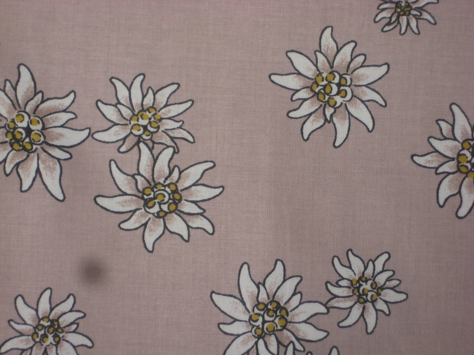 Tessuti: Baumwollstoff beige mit Edelweiss – Nuovo e nell'imballaggio originale da Füllinsdorf venduto da Schlupp 1