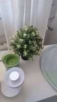 Piante finte