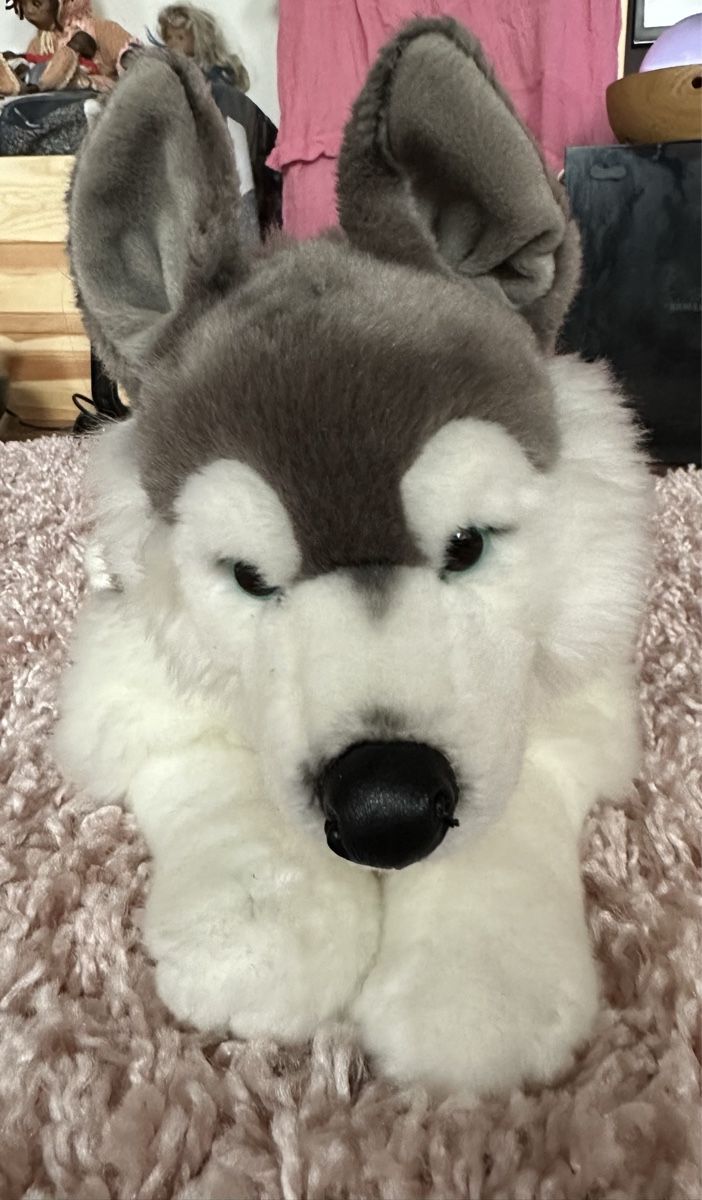 Giocattoli: Husky Hund NEU – Nuovo (secondo la descrizione) da Herzogenbuchsee venduto da SaRaDe77