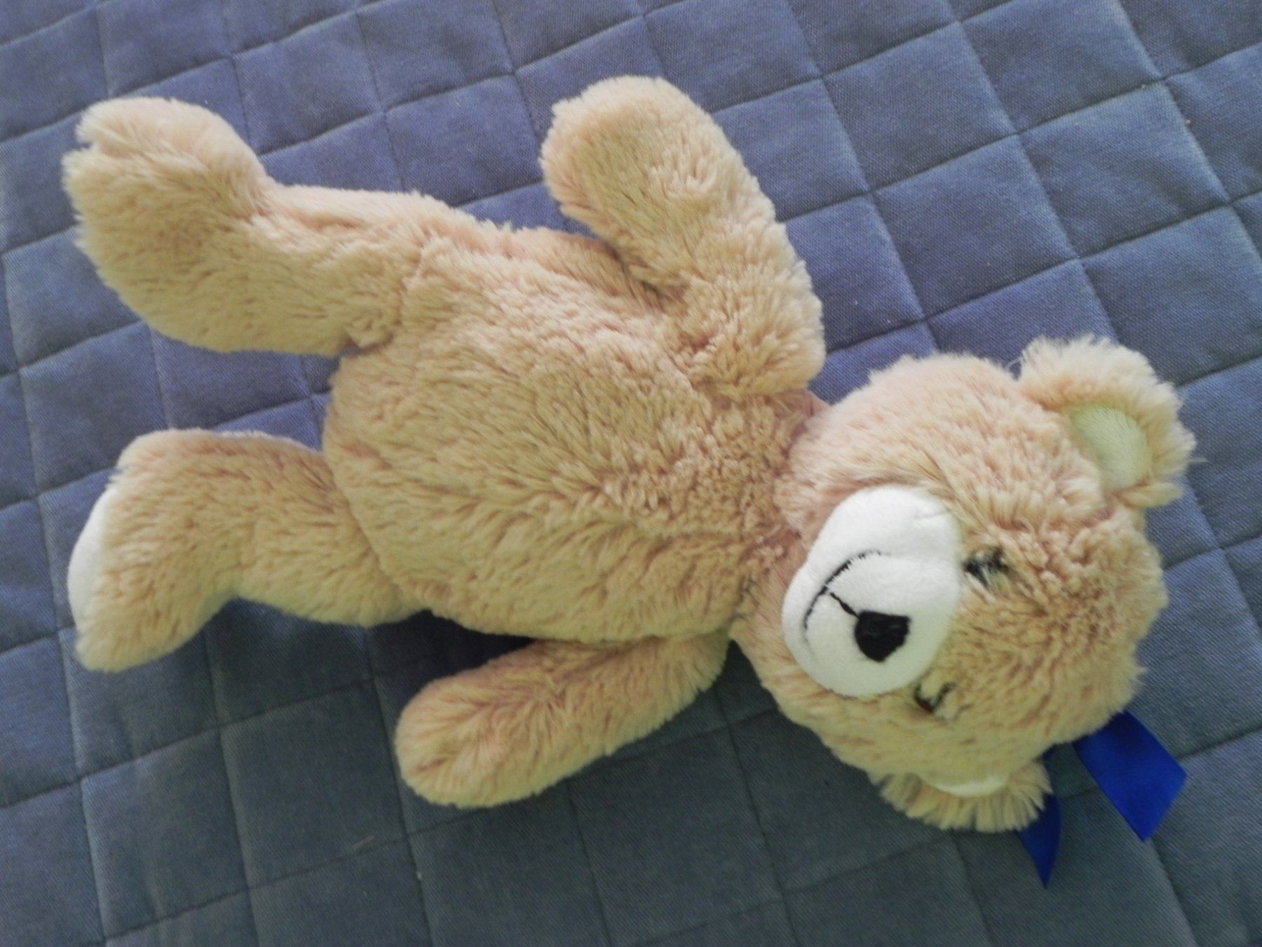 Migros Giocattoli: Teddy Migros Bär Plüschtier – Usato da Stallikon venduto da pcerny16 3