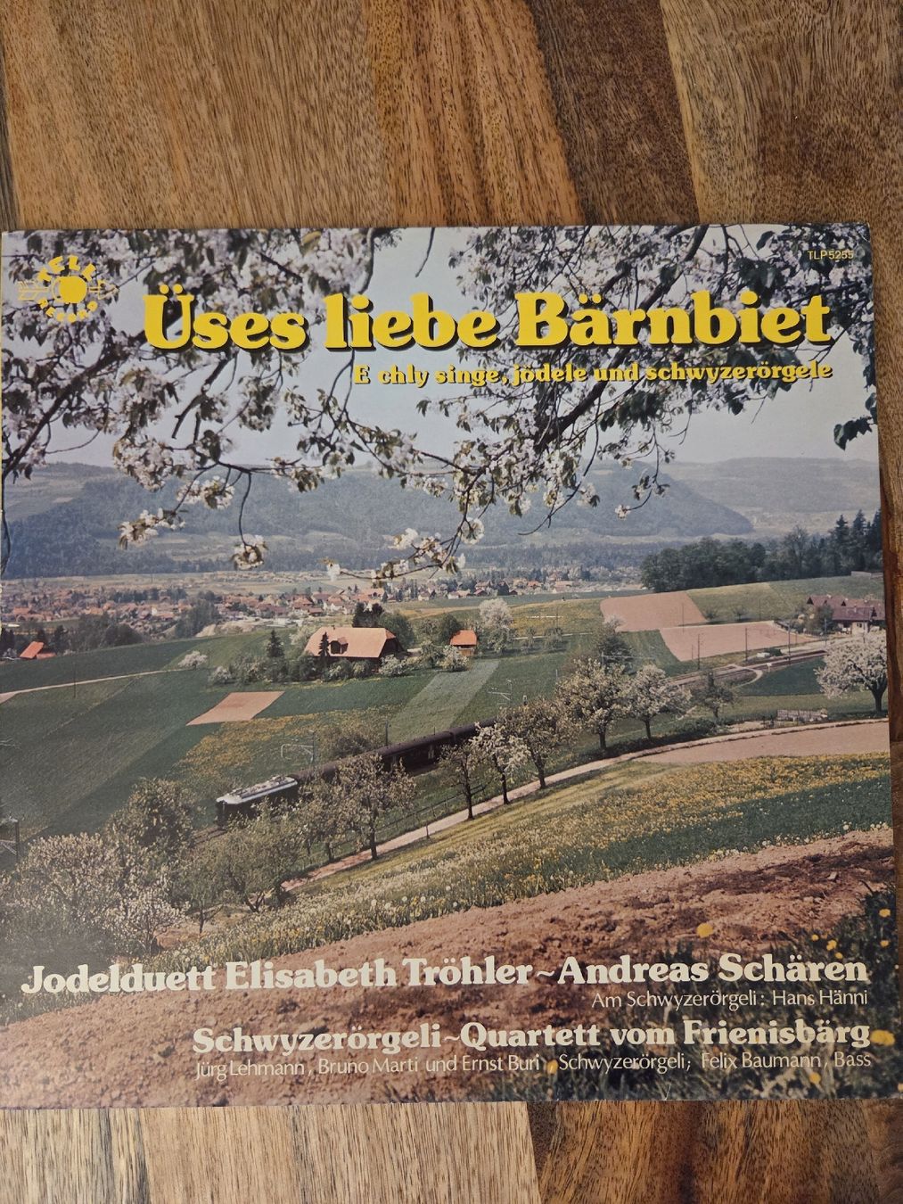 Dischi in vinile: Üses Liebs Bärnbiet - Jodelduett + Schwyzerörgeli Quartett – Usato da Jegenstorf venduto da AloeVera19