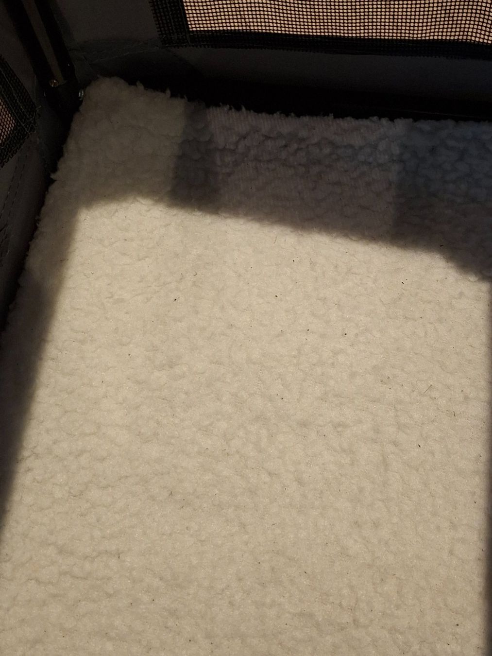 Altro in Decorazioni & Accessori: Hundebox – Usato da Kreuzlingen venduto da eli_6hdn 2