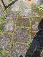 Waschbetonplatten