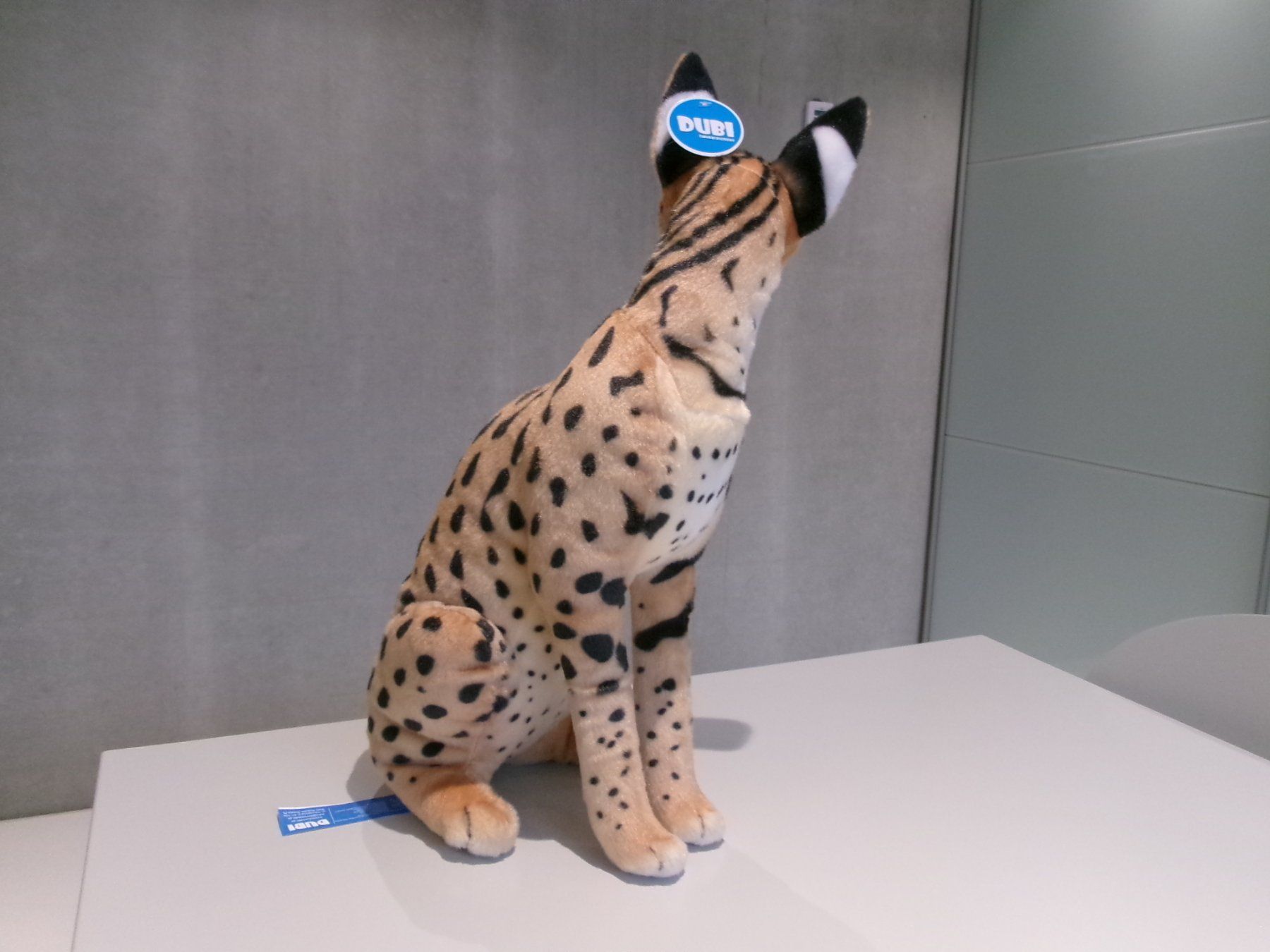 Giocattoli: Dubi / Serval  / Savannah-Katze / 49 cm – Nuovo e nell'imballaggio originale da Welschenrohr venduto da StarRecordsGmbH 2