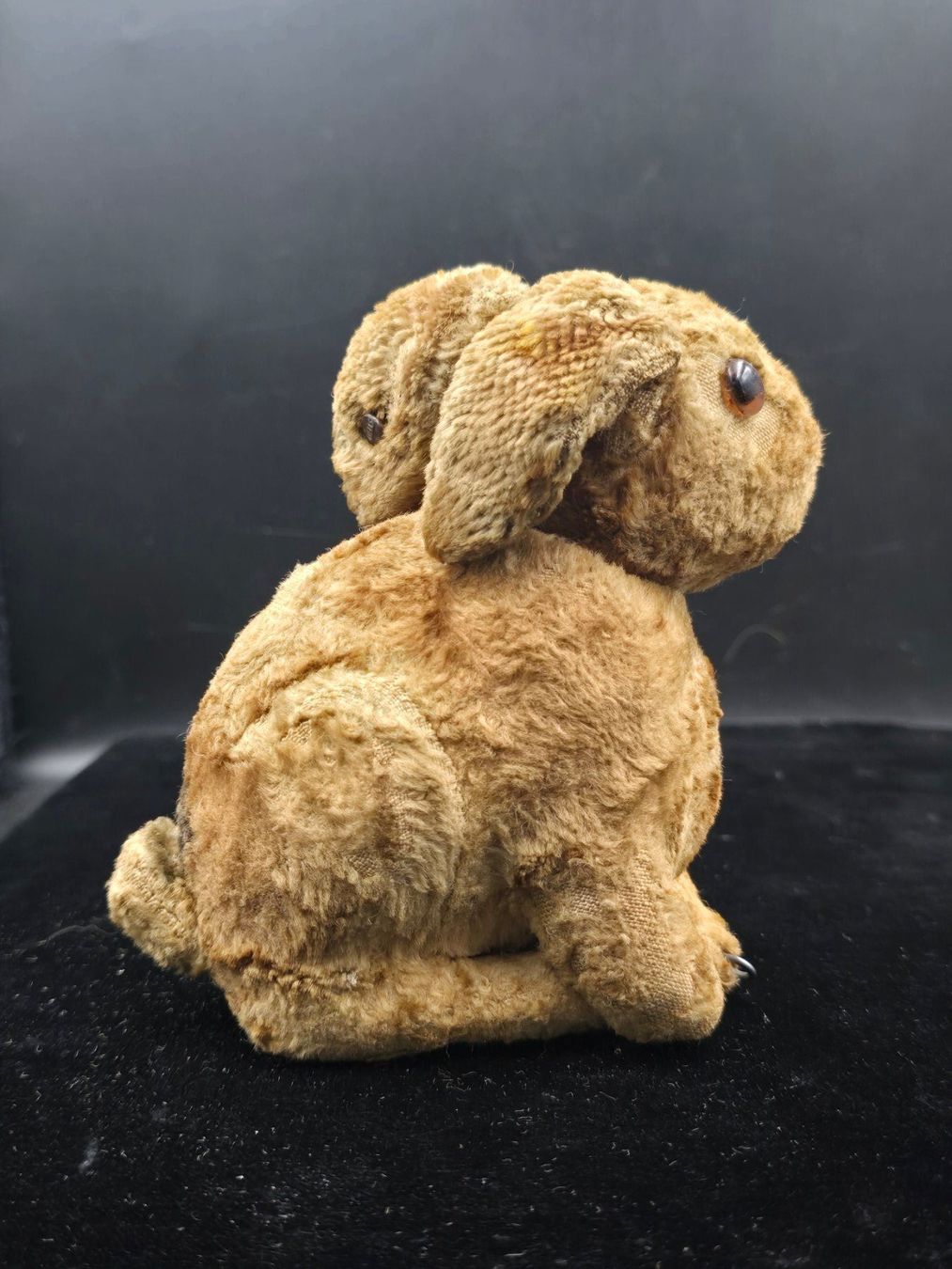 Steiff Giocattoli: Steiff Ballhase – Usato da Rorschacherberg venduto da snOOpydOg11 4