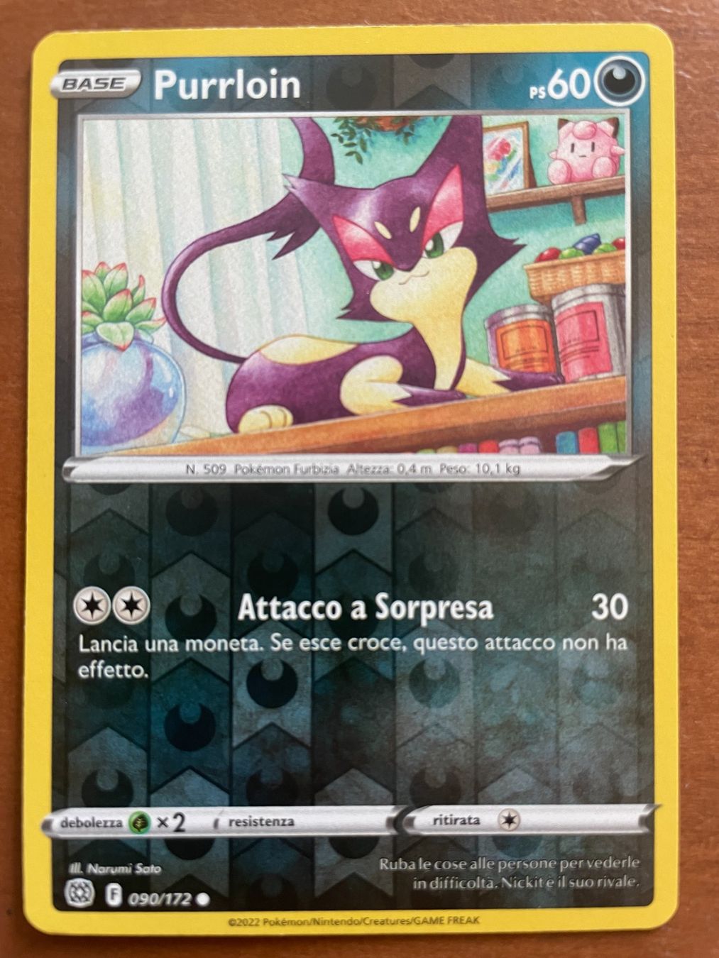 Pokémon Carte collezionabili: Pokemon Purrloin Reverse (Versand gratis) – Nuovo (secondo la descrizione) da Chur venduto da Angerson