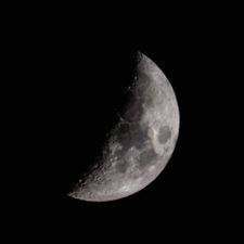 Profile image of Flovin