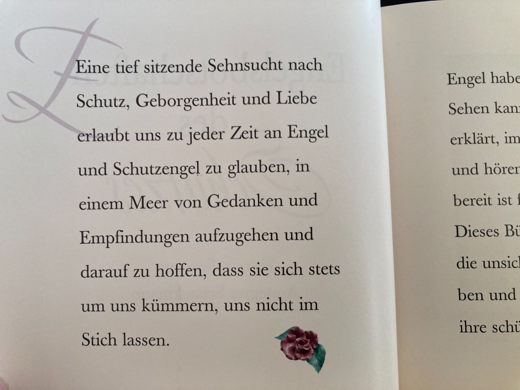 Libri: Engelsbotschaften des  Schutzes   gebundenes Buch – Usato da Subingen venduto da Etageren 5