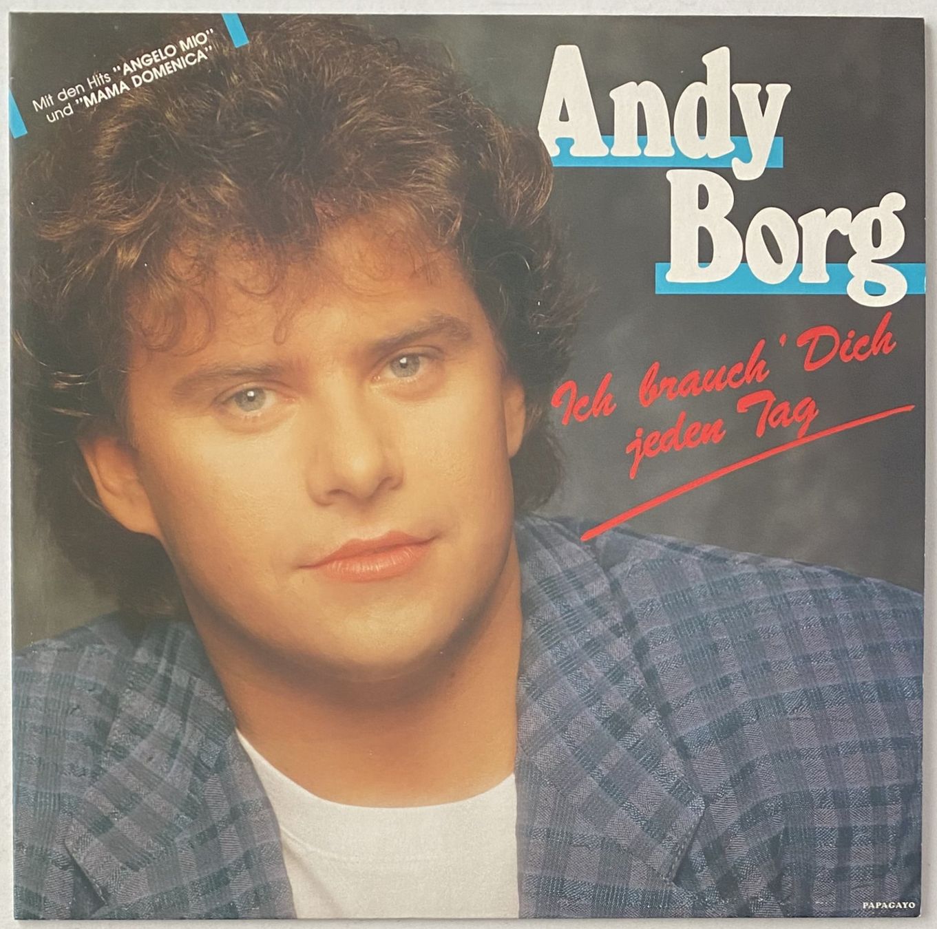 Dischi in vinile: Andy Borg, Ich brauch' Dich jeden Tag – Nuovo (secondo la descrizione) da Flums venduto da Empe1