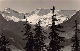 ALPIN: Adelboden, Hörnliweg, Steghorn, Wildstrubel um 1935
